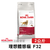 【法國皇家】 F32 理想體態貓 